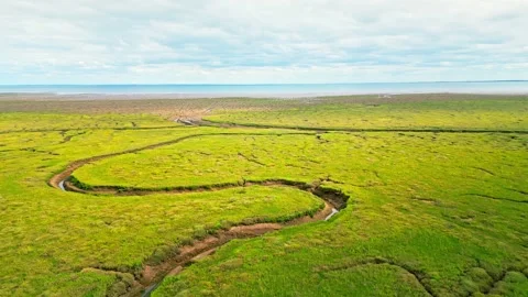 Cracked mud flats in a salt marsh. Aerial: Tidal mudflats, Abstract texture.. Vidéo 260891622