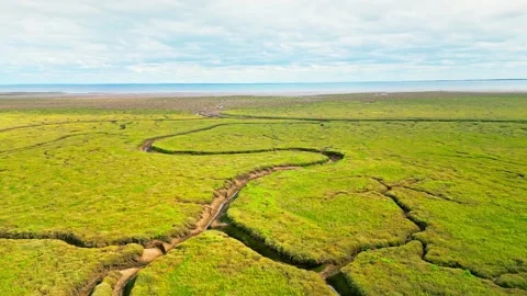 Cracked mud flats in a salt marsh. Aerial: Tidal mudflats, Abstract texture.. Vidéo 260891642