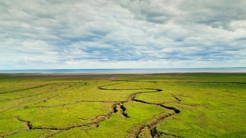 Cracked mud flats in a salt marsh. Aerial: Tidal mudflats, Abstract texture.. Vidéo 260891708