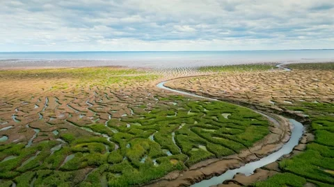 Cracked mud flats in a salt marsh. Aerial: Tidal mudflats, Abstract texture.. Vidéo 260891751