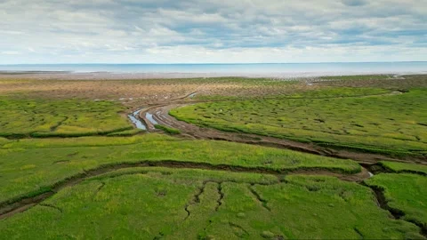 Cracked mud flats in a salt marsh. Aerial: Tidal mudflats, Abstract texture.. Vidéo 260891771