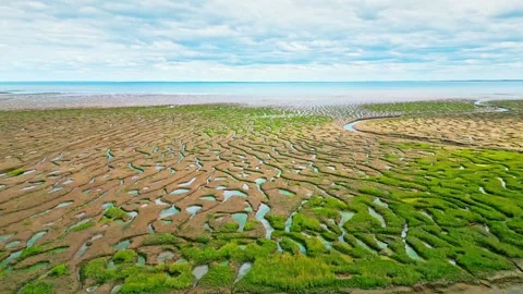 Cracked mud flats in a salt marsh. Aerial: Tidal mudflats, Abstract texture.. Vidéo 260891809