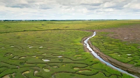 Cracked mud flats in a salt marsh. Aerial: Tidal mudflats, Abstract texture.. Vidéo 260891820