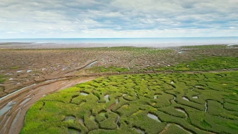 Cracked mud flats in a salt marsh. Aerial: Tidal mudflats, Abstract texture.. Vidéo 260891882