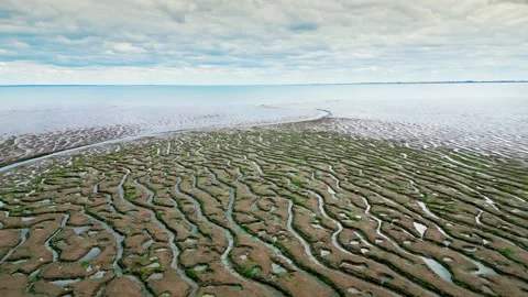 Cracked mud flats in a salt marsh. Aerial: Tidal mudflats, Abstract texture.. Vidéo 260891898