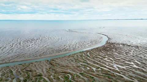 Cracked mud flats in a salt marsh. Aerial: Tidal mudflats, Abstract texture.. Vidéo 260891905
