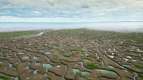 Cracked mud flats in a salt marsh. Aerial: Tidal mudflats, Abstract texture.. Vidéo 260891929