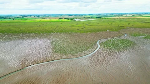 Cracked mud flats in a salt marsh. Aerial: Tidal mudflats, Abstract texture.. Vidéo 260891975