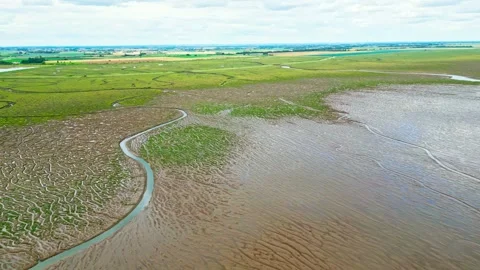 Cracked mud flats in a salt marsh. Aerial: Tidal mudflats, Abstract texture.. 库存影片 260892025