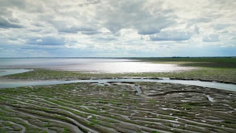 Cracked mud flats in a salt marsh. Aerial: Tidal mudflats, Abstract texture.. Vidéo 260892356