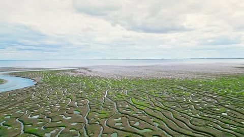 Cracked mud flats in a salt marsh. Aerial: Tidal mudflats, Abstract texture.. Vidéo 260892360