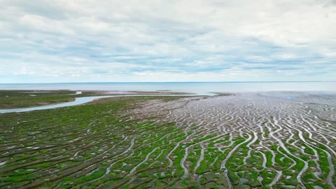 Cracked mud flats in a salt marsh. Aerial: Tidal mudflats, Abstract texture.. 库存影片 260892406