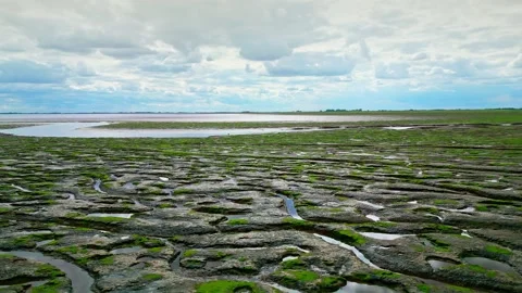 Cracked mud flats in a salt marsh. Aerial: Tidal mudflats, Abstract texture.. 库存影片 260892435