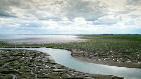 Cracked mud flats in a salt marsh. Aerial: Tidal mudflats, Abstract texture.. 库存影片 260892465