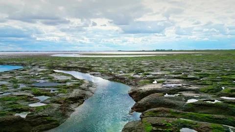 Cracked mud flats in a salt marsh. Aerial: Tidal mudflats, Abstract texture.. 库存影片 260892498