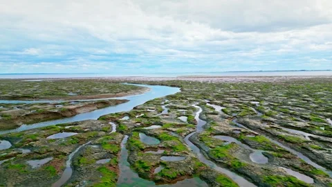 Cracked mud flats in a salt marsh. Aerial: Tidal mudflats, Abstract texture.. 库存影片 260892500