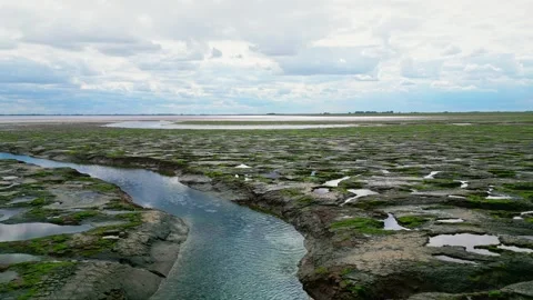 Cracked mud flats in a salt marsh. Aerial: Tidal mudflats, Abstract texture.. 库存影片 260892584