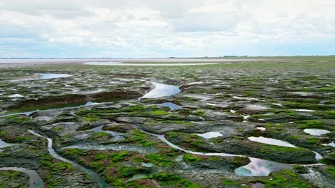 Cracked mud flats in a salt marsh. Aerial: Tidal mudflats, Abstract texture.. 库存影片 260892590