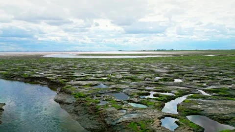 Cracked mud flats in a salt marsh. Aerial: Tidal mudflats, Abstract texture.. 库存影片 260892619