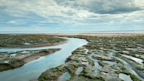 Cracked mud flats in a salt marsh. Aerial: Tidal mudflats, Abstract texture.. 库存影片 260892698