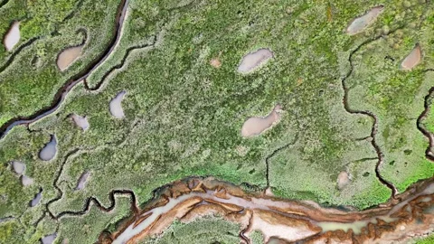 Cracked mud flats in a salt marsh. Aerial: Tidal mudflats, Abstract texture.. 库存影片 260892749