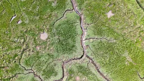 Cracked mud flats in a salt marsh. Aerial: Tidal mudflats, Abstract texture.. 库存影片 260892758