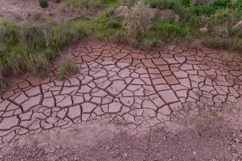 Cracked mud forms interesting shapes in a dried up puddle. 스톡 사진
