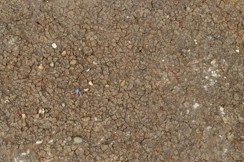 Cracked mud Stock Illustration