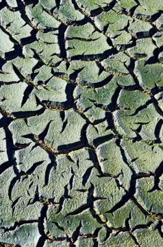 Cracked mud Stock Photos