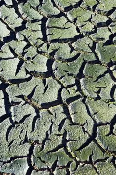 Cracked mud Stock Photos