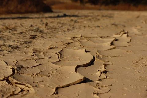 Cracked Mud Stock Photos
