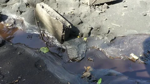 Cracked Mud With Puddles And Rocks In Dry Riverbed Stock Footage 333574474