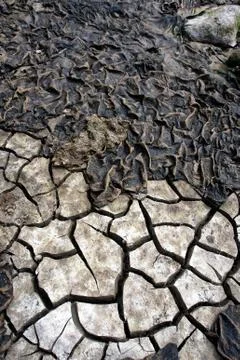 Cracked mud riverbed Stock Photos
