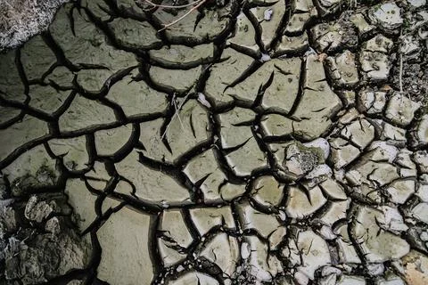 Cracked mud texture caused by prolonged drought Foto stock
