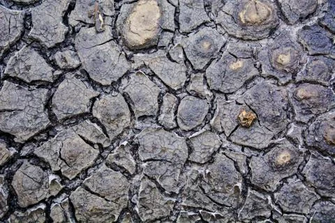 Cracked mud texture Stock Photos