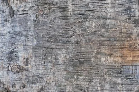 Cracked old board. Gray patchy background. Natural material Foto stock