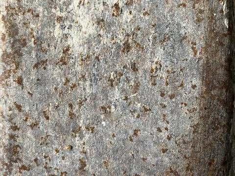 Cracked old concrete wall with rusty metal stains and peeling paint Stock Photos