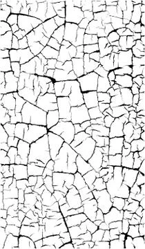 Cracked paint craquelure pattern over white Stock Illustration