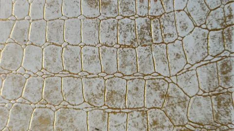Cracked paint surface texture white gold pattern aged material Stock Photos