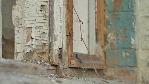 Cracked Paint on Window Frames Abandoned Old Buildings Sad Picture of Deserted Stock Footage 71633564