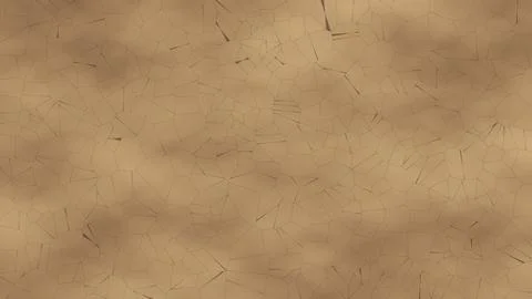 Cracked parchment paper texture with subtle creases and aged appearance 库存插图