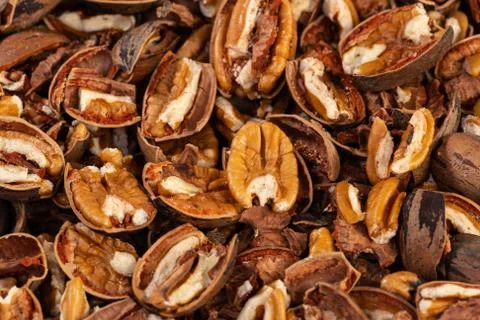 Cracked Pecan Nuts in Hard Shell Background Texture Stock Photos