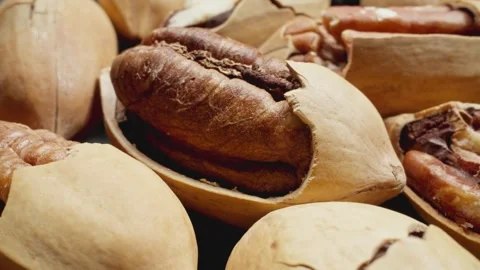 Cracked pecans rotating. Group of unpeeled pecans. Delicious nuts. Vegan food. Video stock 286060698