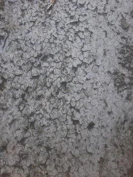 The cracked, peeling surface creates a detailed gray texture, perfect for usi Stock Photos