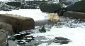 Cracked Pipe Leaking Waste - Water Pollution, Panned HD Footage