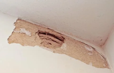 Cracked plaster Stock Photos