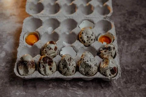 Cracked quail egg with broken shell in box on grey background Stock Photos
