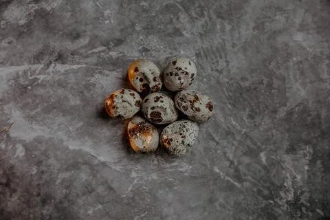 Cracked quail egg with broken shell on grey background Stock Photos