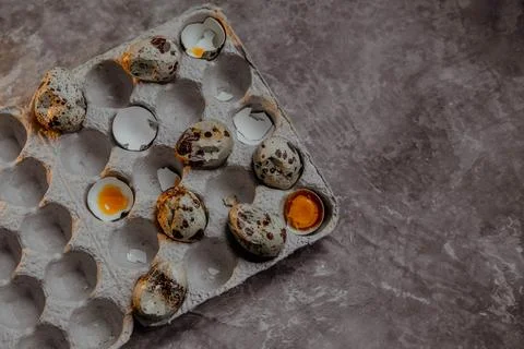 Cracked quail egg with broken shell in box on grey background Stock Photos
