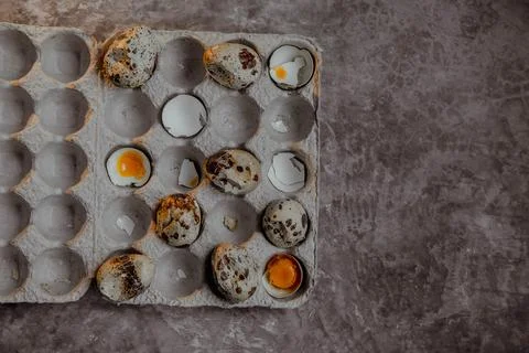 Cracked quail egg with broken shell in box on grey background Foto stock